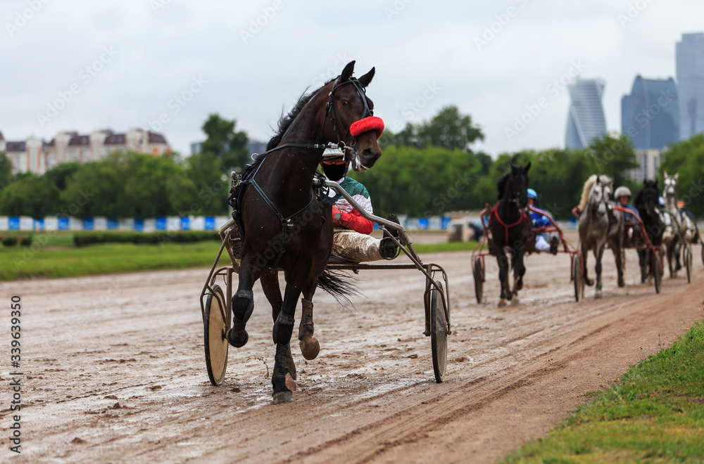 racetrack horse racing jockey approaching the finish line, sports with horses, riding a stallion racetrack horse racing jockey approaching the finish line, sports with horses, riding a stallion