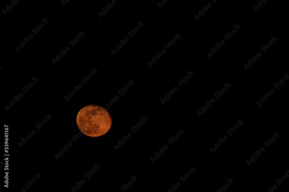 Foto della luna rossa di notte
Foto della luna rossa di notte