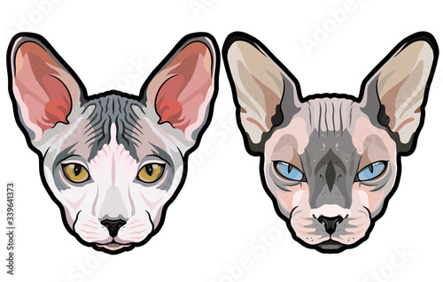 Fashion vector portraits of Elegant Sphynx cat heads isolated