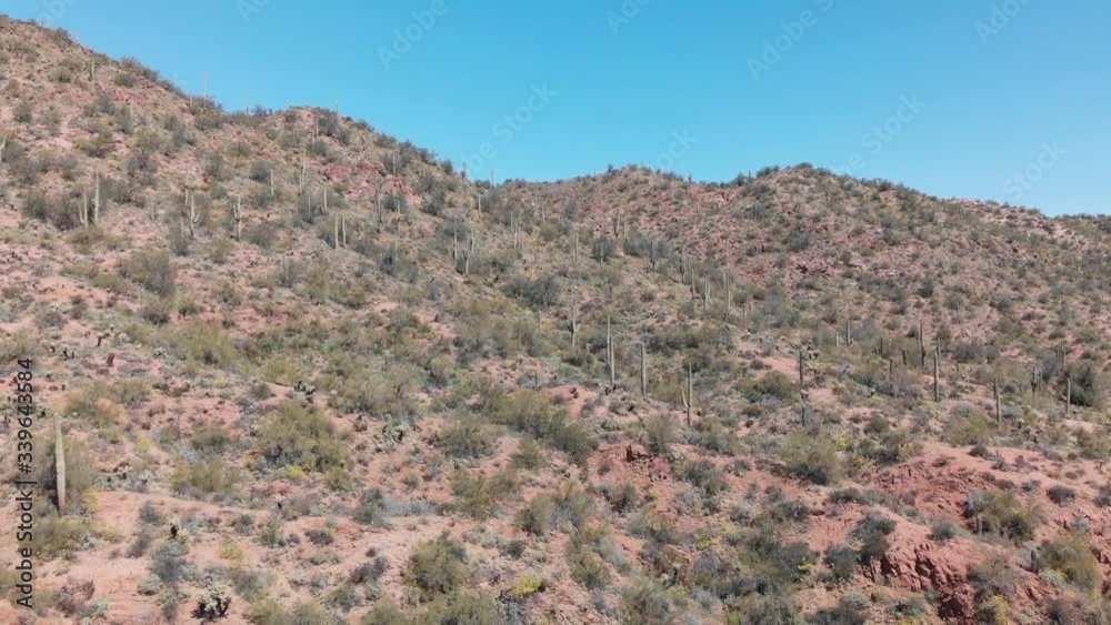 Drone flying over mountain through Saguaro Cactus Drone flying over mountain through Saguaro Cactus