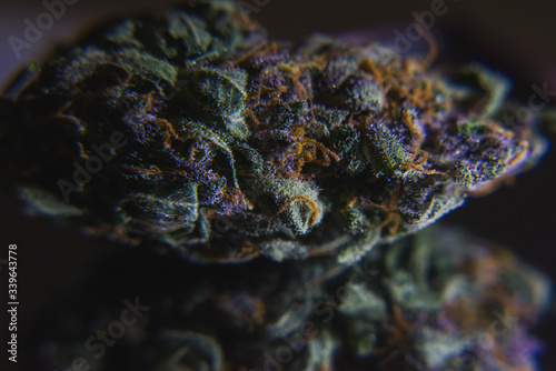 Marijuana bump close-up. Macro, through the lens.