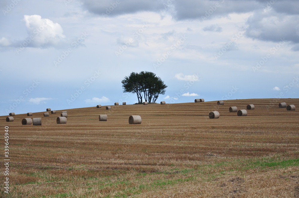 Obraz premium village 