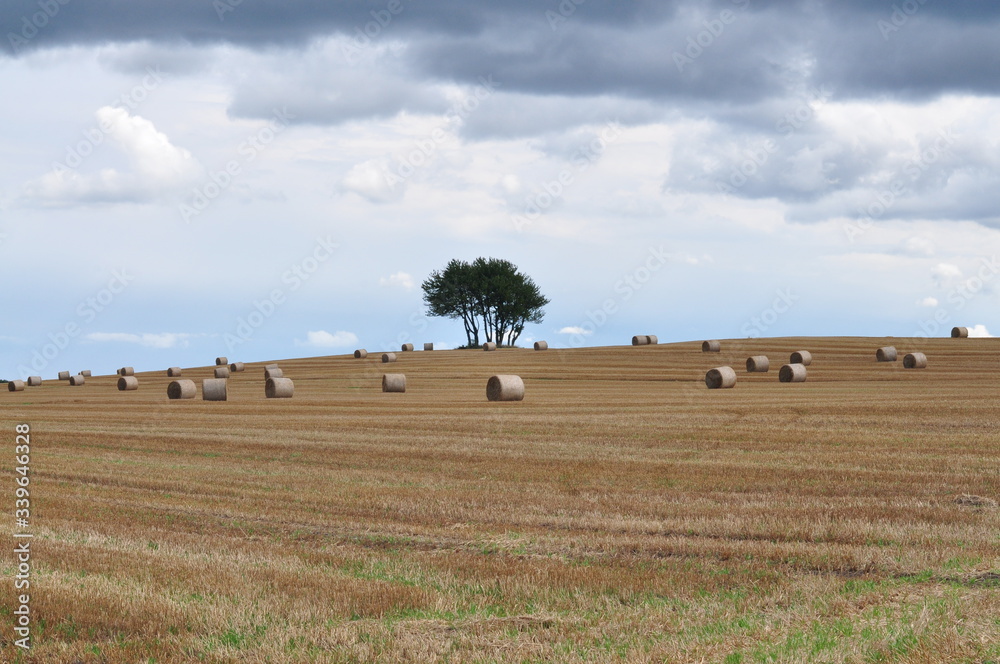 Obraz premium village 