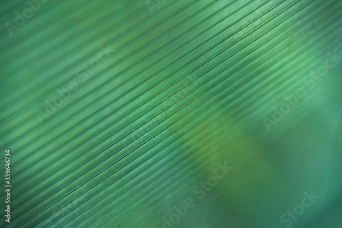 
Abstract green swamp blue background with diagonal frequent parallel lines. Monochrome, backdrop, background