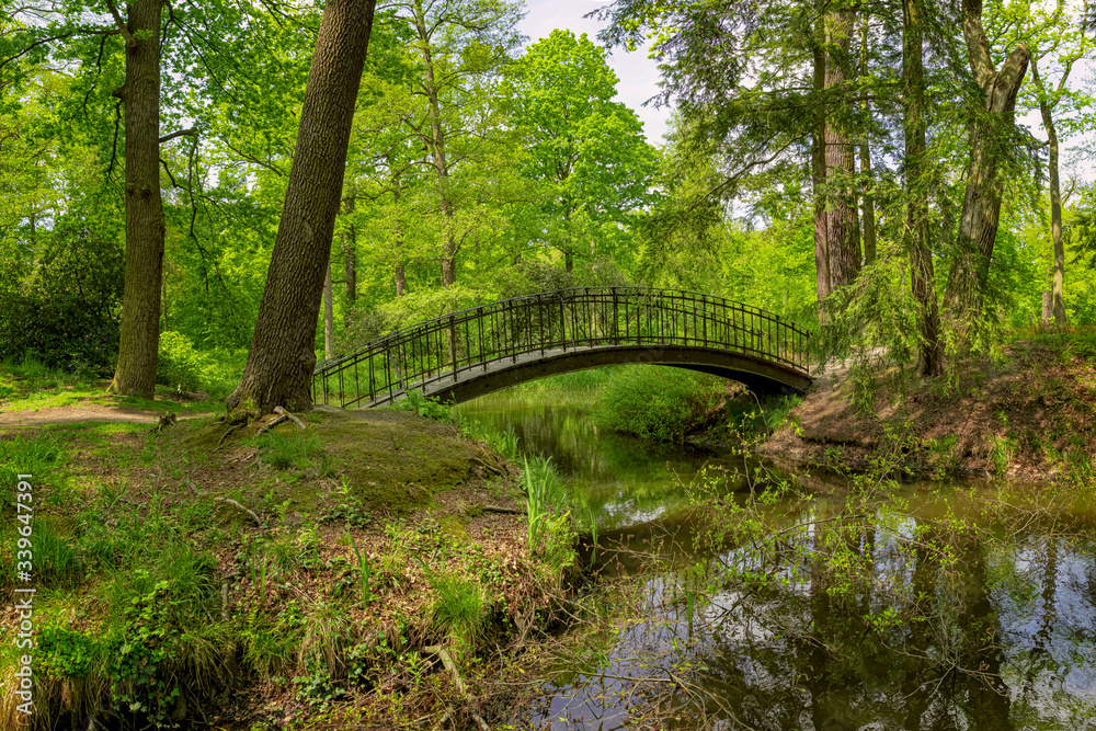 Bridge over river in the green park, Poland