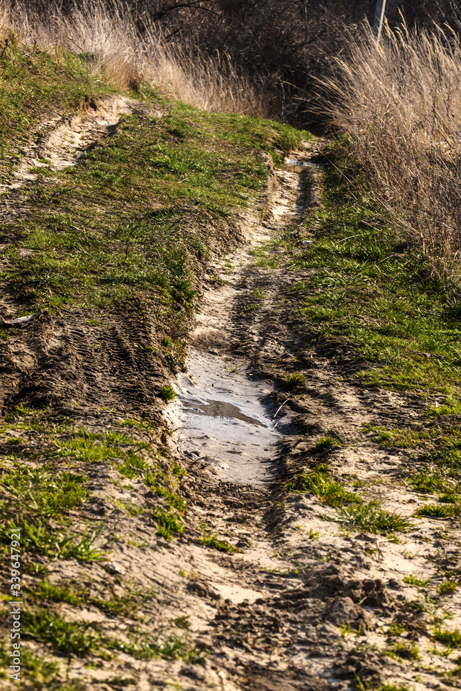 Off-road. Polesie. Country Ukraine. Impassable forest road of mud and clay, offroad Off-road. Polesie. Country Ukraine. Impassable forest road of mud and clay, offroad