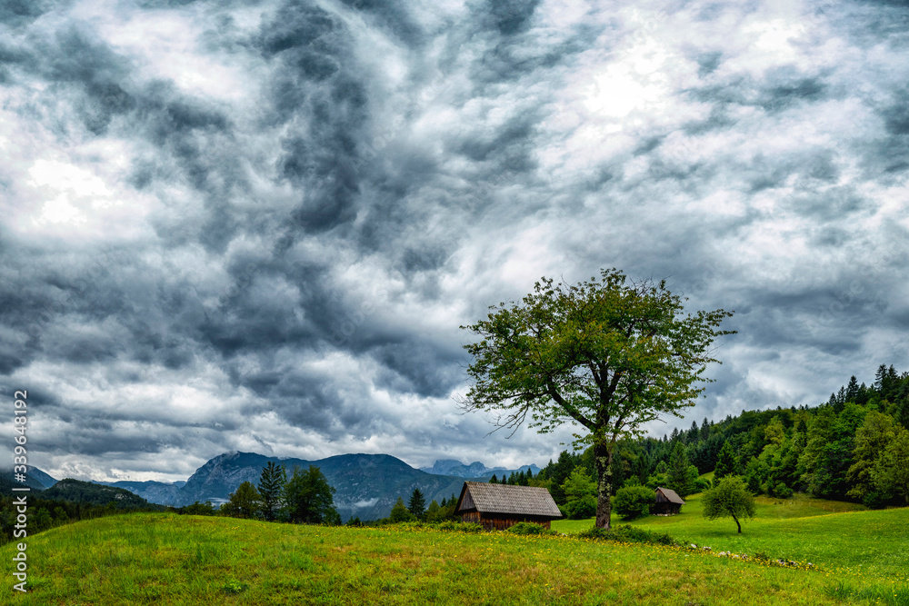 Green meadow with wooden house, big tree and dramatic sky after storm in Julian Alpe, Stara Fuzina, Slovenia Green meadow with wooden house, big tree and dramatic sky after storm in Julian Alpe, Stara Fuzina, Slovenia