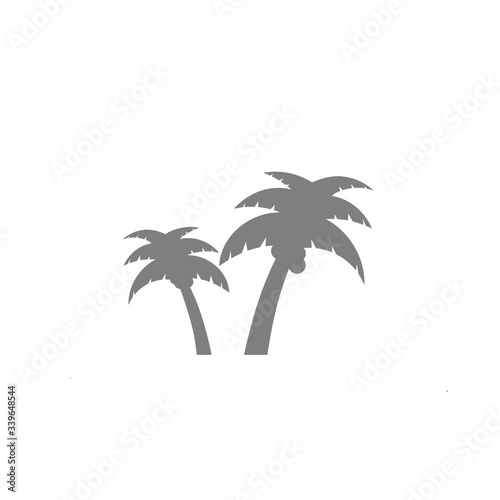 Palm tree icon on white background. © pradit