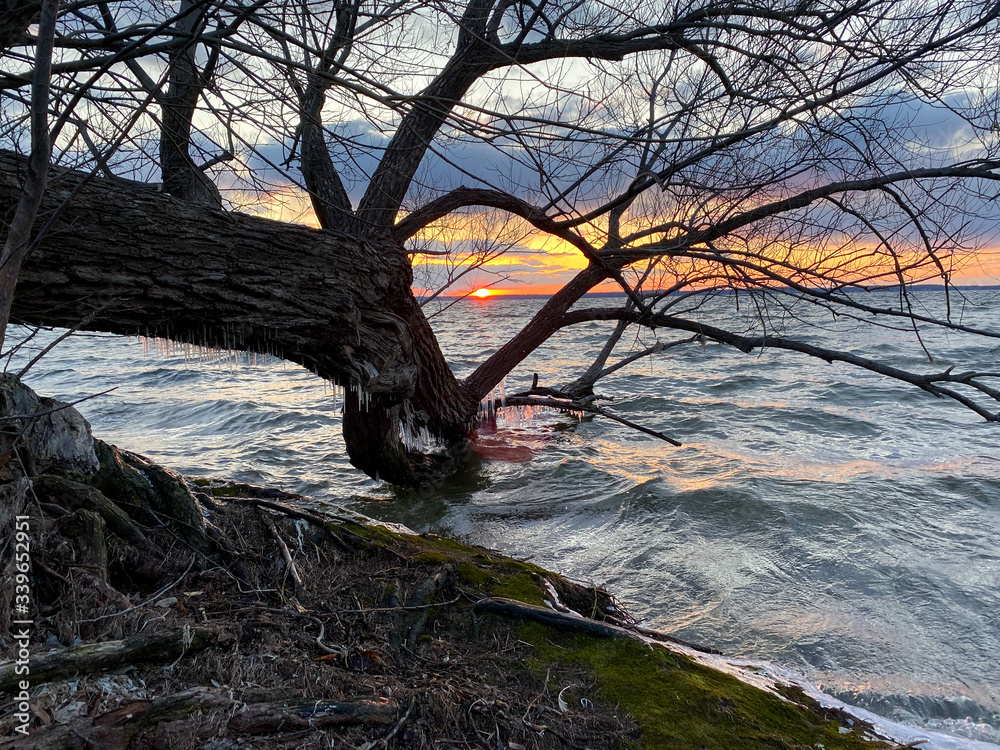 Fototapeta premium spring lake sunset pink icicles