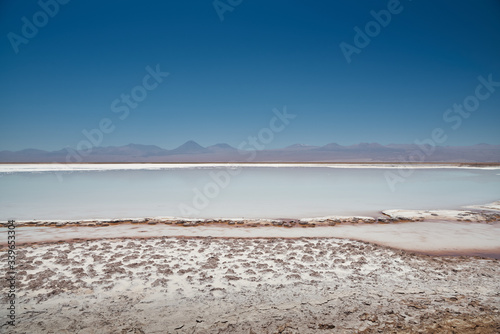 Flamingos. San Pedro de Atacama, Antofagasta - Chile. Desert. Baltinache Lagon.