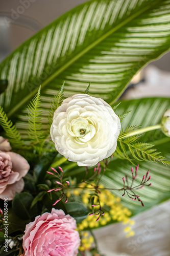 pink and white flower