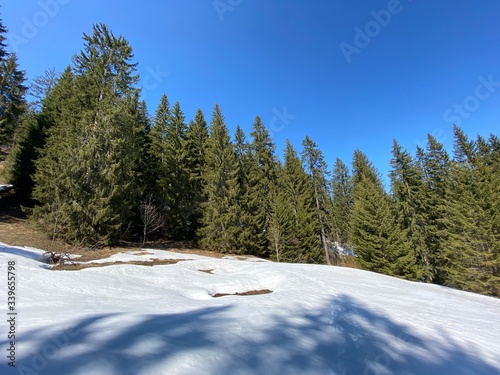 The early spring atmosphere and the last remnants of winter in the Alptal alpine valley, Einsiedeln - Canton of Schwyz, Switzerland Schweiz photo