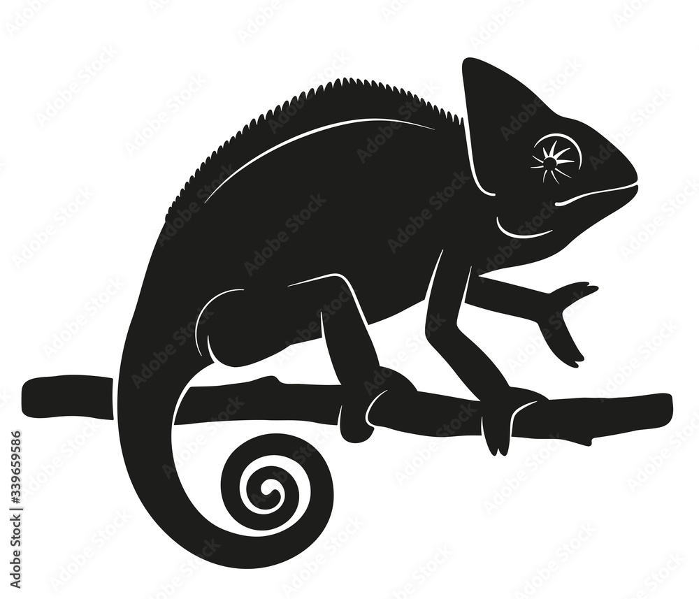 Chameleon Silhouette