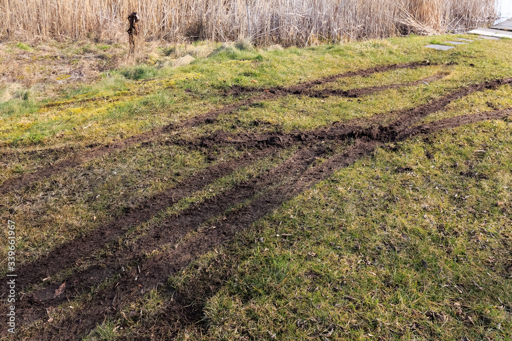 Fototapeta premium Wheel traces on muddy grass