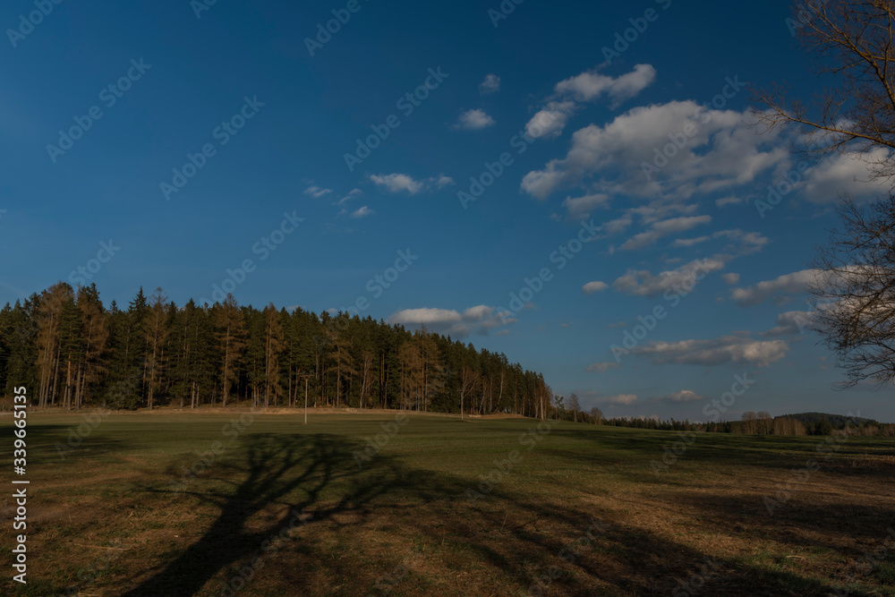 Meadow and forest in sunset evening with long shadows and blue sky