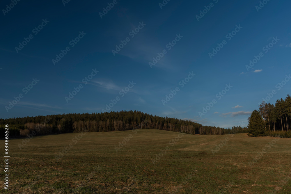 Fototapeta premium Meadow and forest in sunset evening with long shadows and blue sky