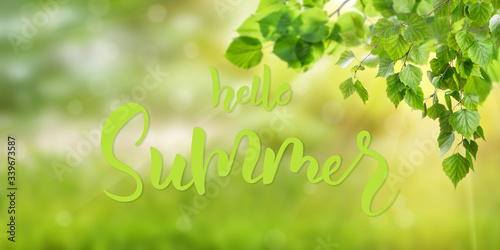 Hello summer text on Nature Green Background
