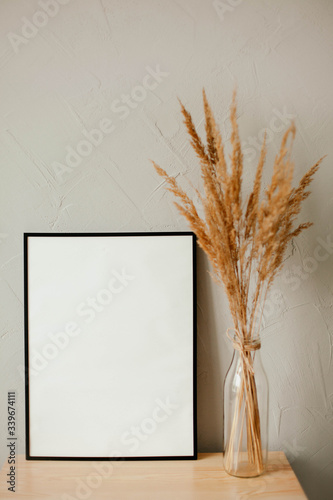  dried flowers in a vase on a gray background. dry grass in a transparent vase. gray textured wall. white frame on a gray background. black frame on gray background. empty frame.