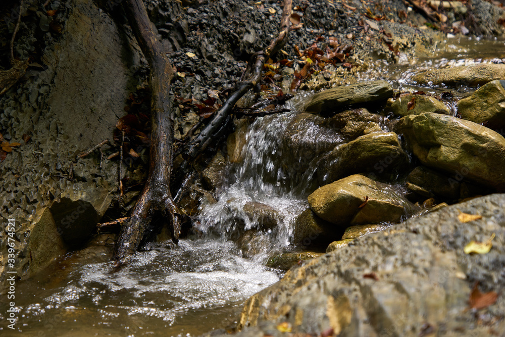 creek runs over stones in a mountain forest creek runs over stones in a mountain forest