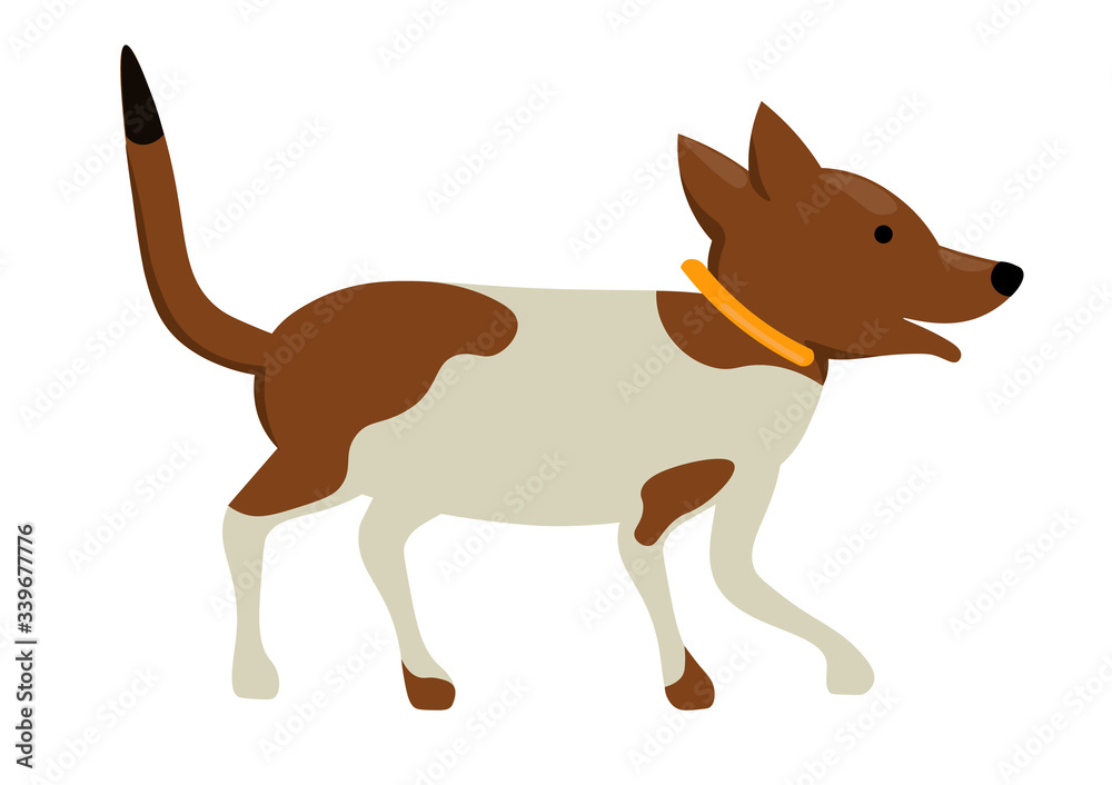 Dog flat isolated, white background, cute pet character, vector illustration Dog flat isolated, white background, cute pet character, vector illustration