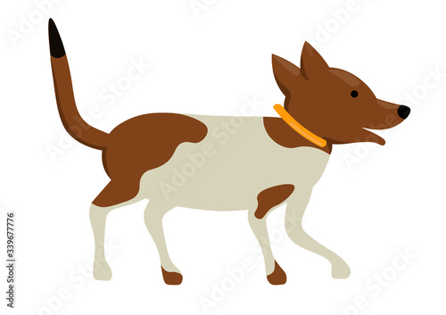 Dog flat isolated  white background  cute pet character  vector illustration