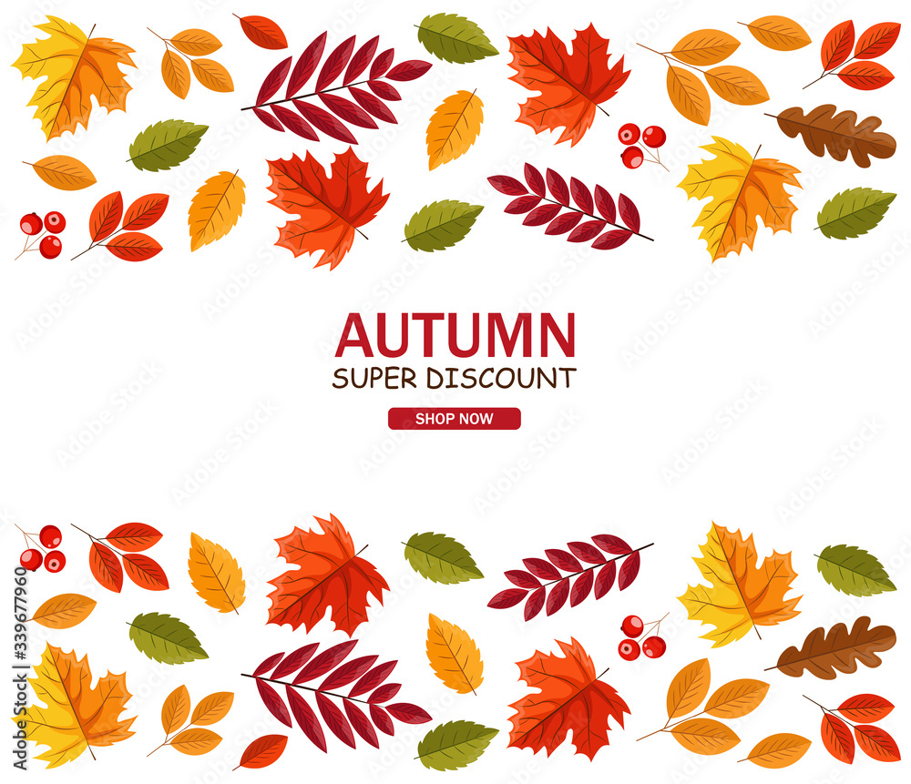 Hello autumn, autumn leaves flat, colored leaves isolated set, autumn elements vector illustration