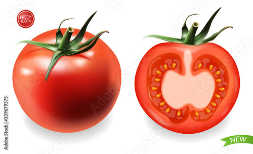Realistic tomatoes isolated, fresh product, vegetarian food, vector illustration