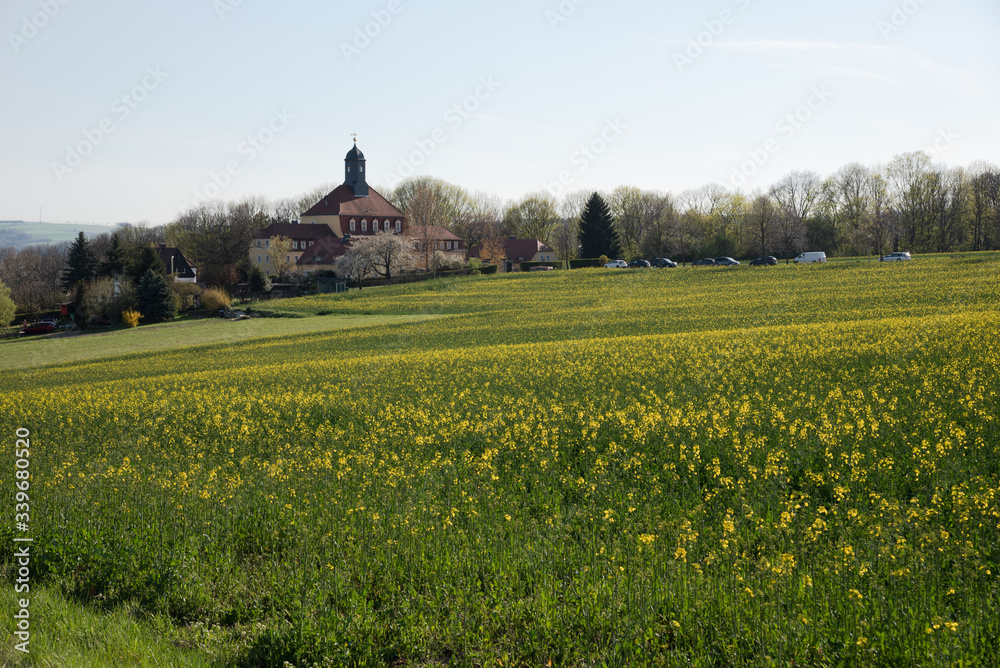 Spaziergang im Frühling