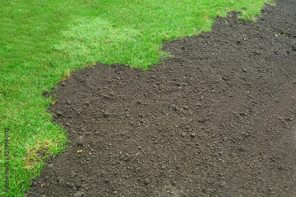 custom made wallpaper toronto digitalgreen lawn and dirt for new lawn