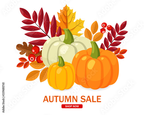 Hello autumn, sale banner, flat pumpkin set and colored leaves, autumn illustration