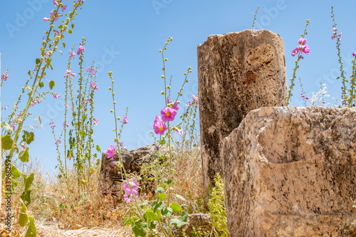 Ancient Roman Ruins at Gerasa in Jerash, Jordan photo