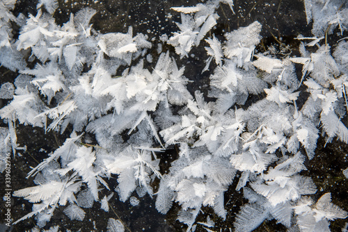 Unique & impressive frost that has formed on the first layer of ice to freeze on the lake. Abstract, incredible, beautiful, lovely background.  © Scalia Media