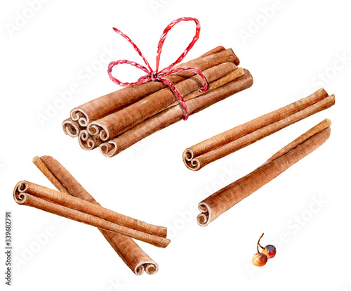 Set of watercolor cinnamon sticks and tea spices anise, cloves, cardamom on white background.