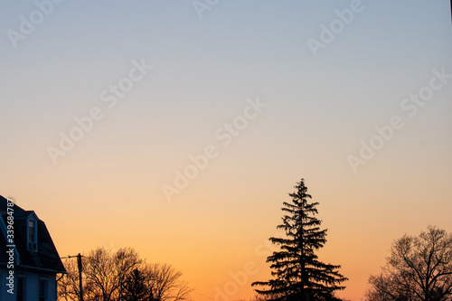 A Silhouetted Tree on a Blue and Orange Sky