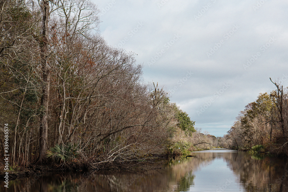 water reflection of trees on the river water reflection of trees on the river