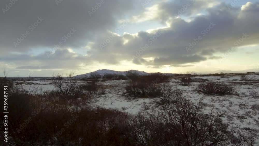 Tracking shot moving fast in a snowy winter landscape with bushes and a hill mountain and cloudy sky in background Tracking shot moving fast in a snowy winter landscape with bushes and a hill mountain and cloudy sky in background