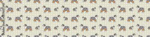 Hand drawn cute australian shepherd dog and puppy breed seamless border pattern. Purebred pedigree domestic dog background. Dog lover sheepdog pet washi ribbon. Kennel pooch EPS 10. 