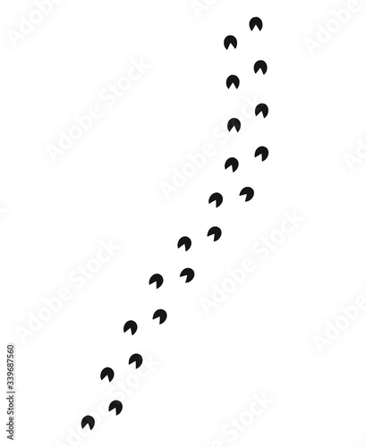 Vector flat black horse donkey foot print steps path isolated on white background