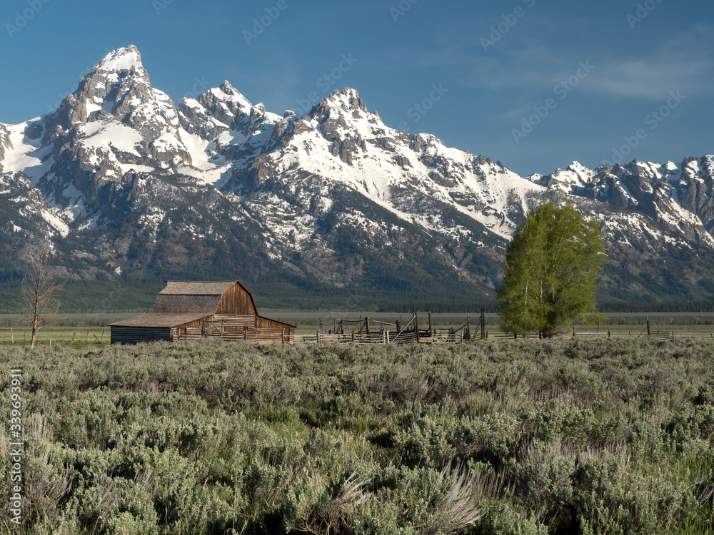 a barn site below snow covered mountains in the vast fields of the Grand Tetons