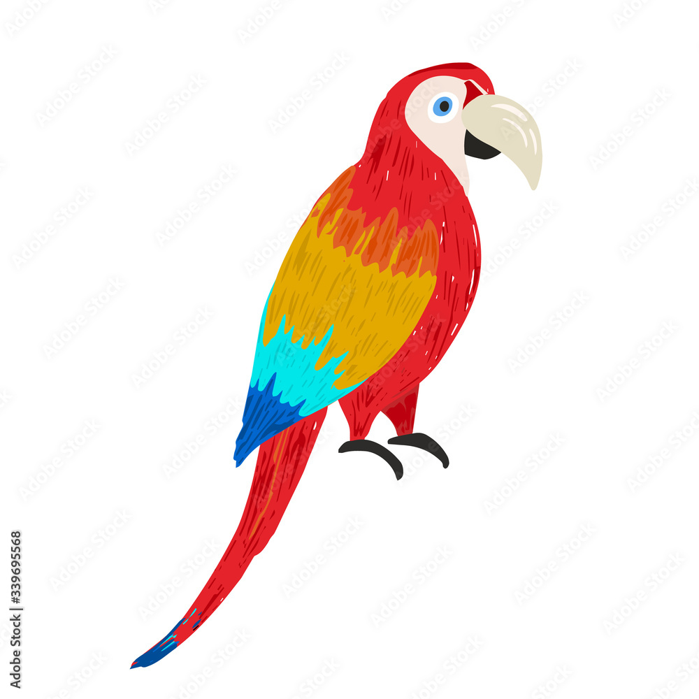 Fototapeta premium Cute vector hand drawn sketch of bright colorful ara macaw. Illustration of wild tropical parrot bird for kids print design, logo, sticker