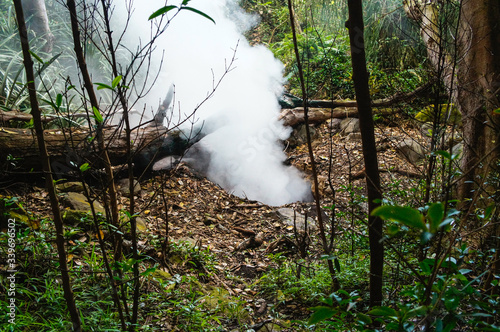 Fumaroles in the jungle at volcano Rincón de la Vieja