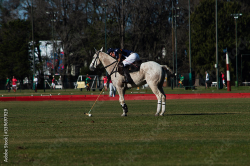 horse racing horse