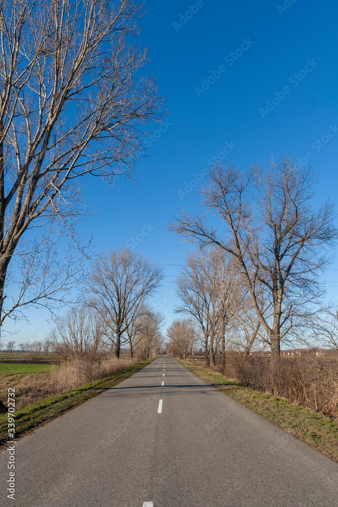 Road on the Great Hungarian Plain in Hungary