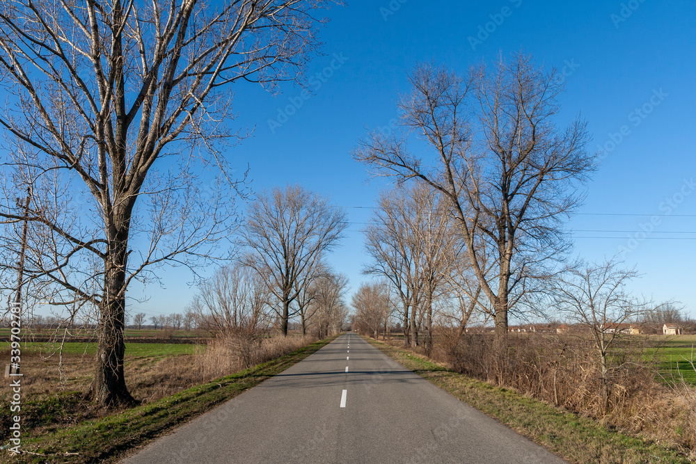 Road on the Great Hungarian Plain in Hungary