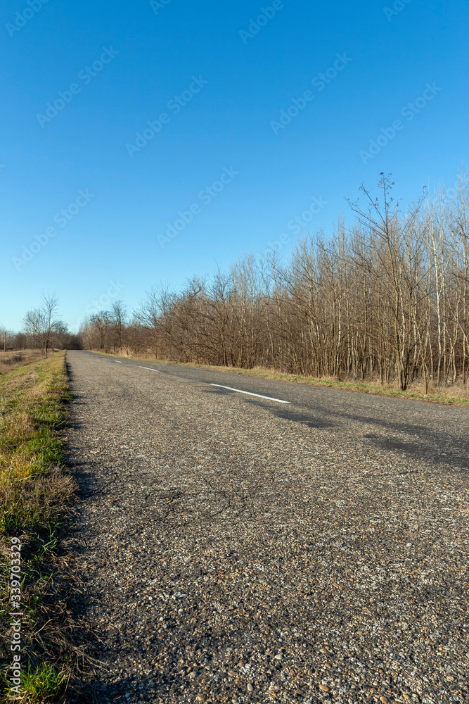 Road on the Great Hungarian Plain in Hungary Road on the Great Hungarian Plain in Hungary