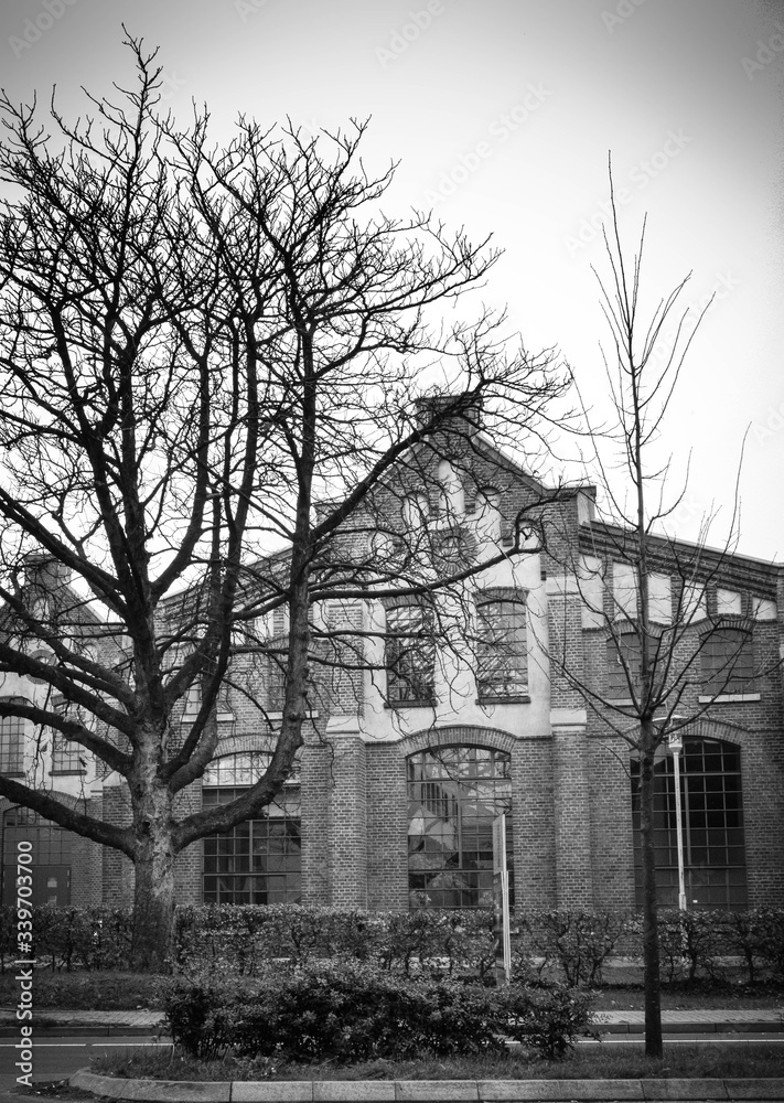 Fototapeta premium old abandoned house