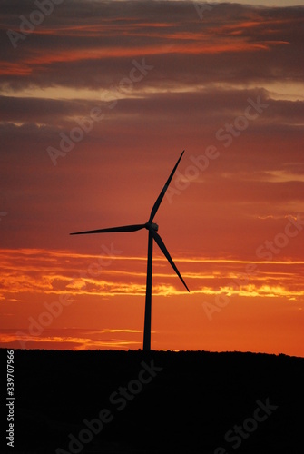 wind turbine at sunset © Maggy