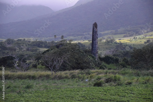 Φωτογραφία Ruined chimneys stand to mark the demise of sugar plantations