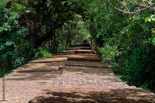 This stone walls around the site of the ruins at Polonnaruwa