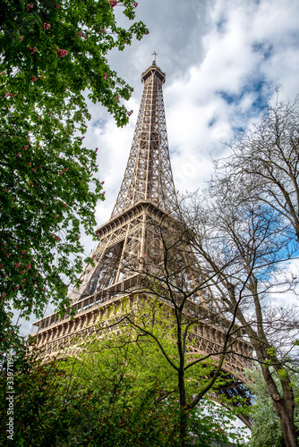 View on Eiffel Tower in Summer, Paris/France
